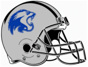 Lions graphic