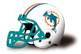 Dolphins Helmet