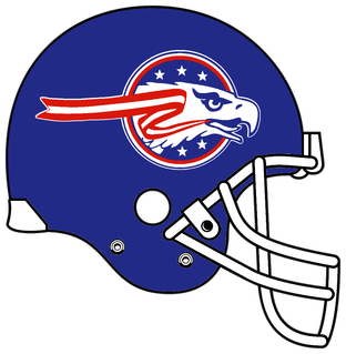 Tenn Helmet